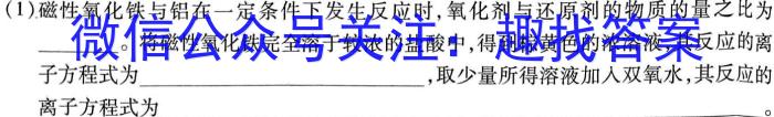 3陕西省2023-2024学年度第二学期八年级阶段性学习效果评估（二）化学试题