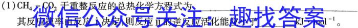 q2024年河北省初中毕业生学业考试模拟试卷化学