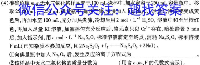 q陕西省2024~2025学年度第一学期九年级第一阶段检测化学