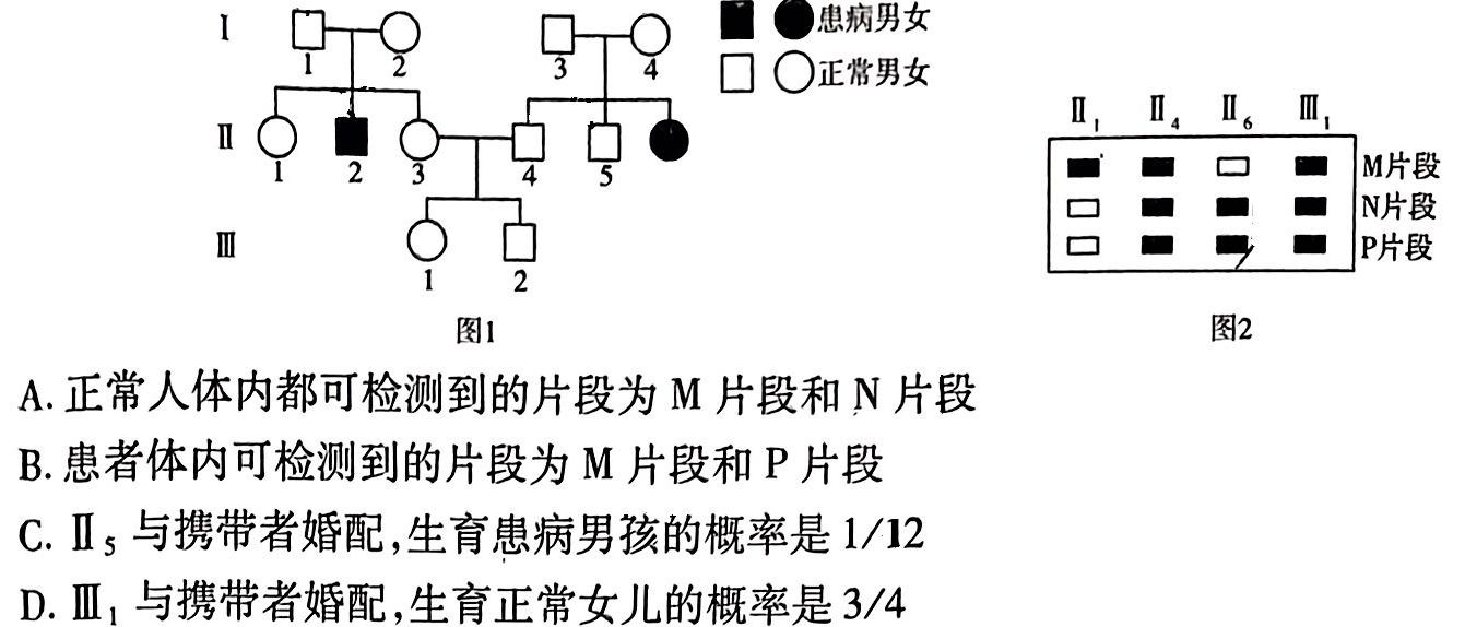 河北省2024年九年级模拟考试生物