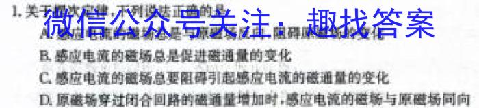 C20教育联盟2024年九年级学业水平测试"最后一卷"物理试题答案