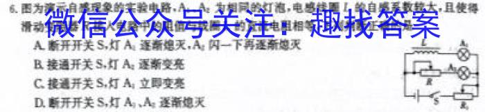 2024年陕西省初中学业水平考试(SX1)f物理