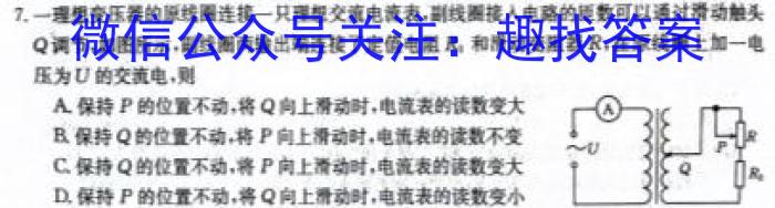 2024年陕西省初中学业水平考试·名师导向模拟卷（一）Al物理