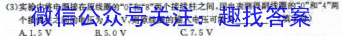 2024年湖南省普通高中学业水平合格性考试仿真试卷(专家版二)物理`