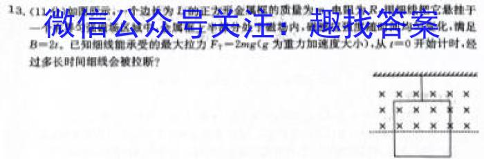 河北省2024年九年级模拟检测（2024.5）物理`