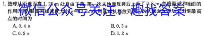 2024年长安区高三第一次模拟考试物理试卷答案