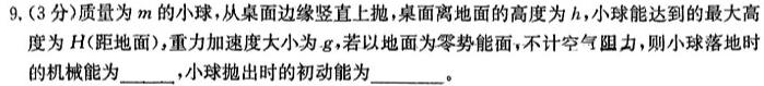 安徽省2024届九年级毕业班第一次模拟考试卷物理试题.