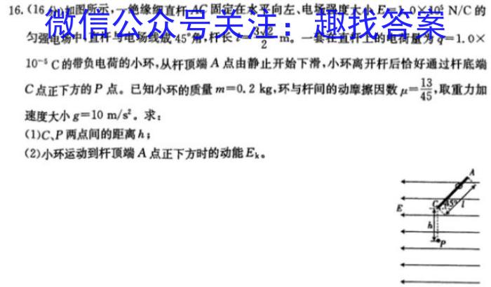 2024年广东省九年级学业水平模拟检测题(24-CZ199c)物理`