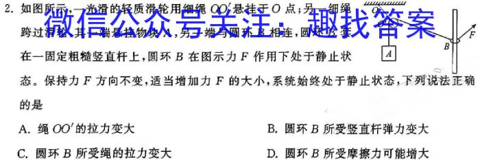 安徽省池州市2024-2025学年第一学期八年级开学考物理试卷答案