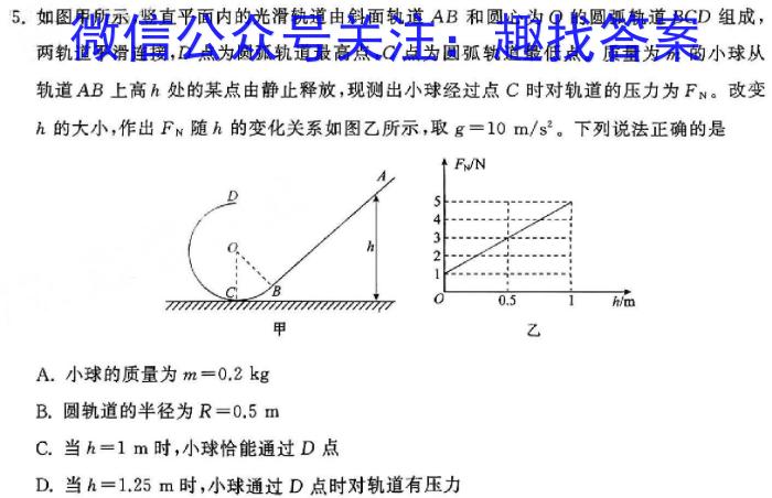 ѧУ2023-2024ѧѧ5¿(ںڰ׺ڰ׺ں)xԾ