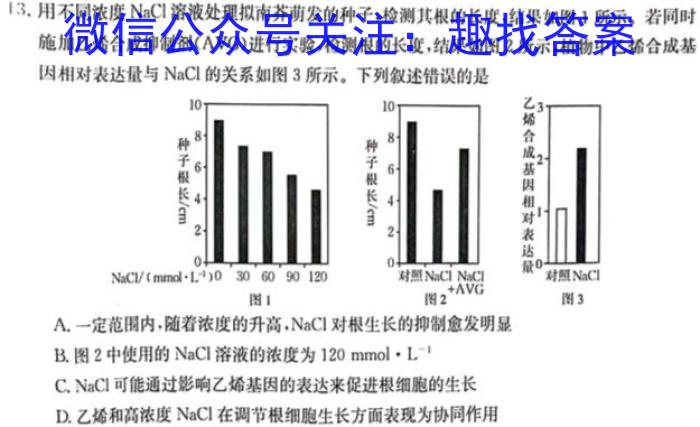 衡水金卷 2024届高三年级2月份大联考(LL)生物学试题答案