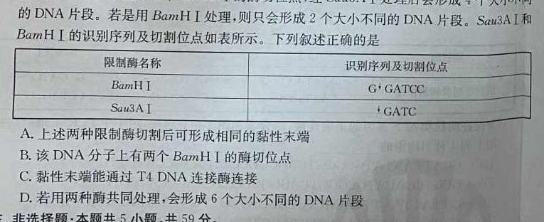 安徽省2024年高三高考适应性联考(243636D)生物学部分
