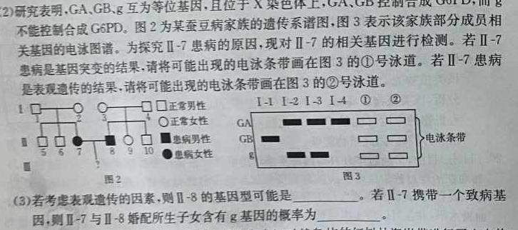辽宁省2023-2024学年度下学期高三第三次模拟考试试题生物