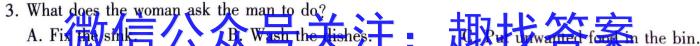 名校之约-2024河南省中招考试仿真冲刺试卷(A)英语
