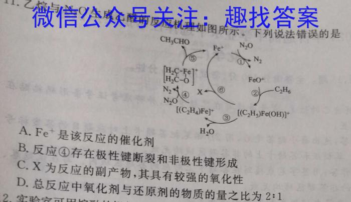 文博志鸿 2024年河南省普通高中招生考试模拟试卷(压轴一)化学