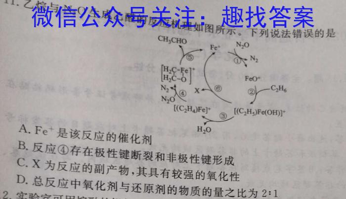 广东省清远市2024-2025学年九年级上学期开学考试化学