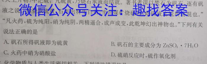 安徽省滁州市2024届天长市实验中学教育集团九年级课程质量检测化学