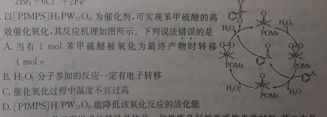 1陕西省2024~2025学年度九年级第一学期第一阶段巩固练习化学试卷答案