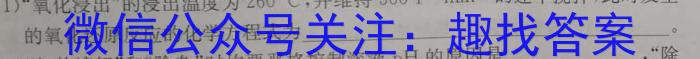 3陕西省2024届九年级仿真模拟示范卷（五）化学试题