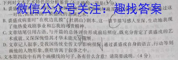 2024年陕西省初中学业水平考试突破卷（二）A语文