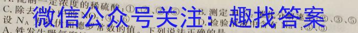 河南省南召县2024年春期九年级开学摸底练习化学