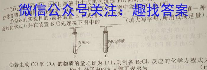 q文博志鸿2024年河南省普通高中招生考试模拟试卷(解密一)化学