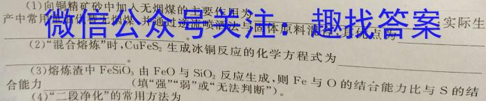 2024年河南省中招考试模拟试卷（二）化学