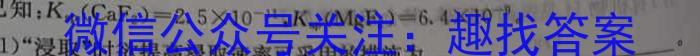 2024年河北省初中毕业生升学文化课考试(1)化学