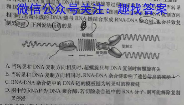 甘肃省2023-2024学年高二阶段性检测(♣)生物学试题答案