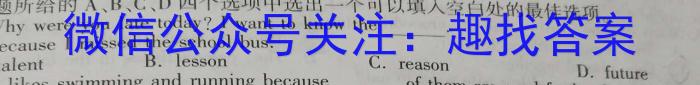 2024年山西省中考信息冲刺卷压轴与预测(一)英语