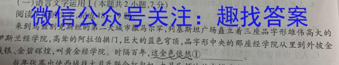 木牍中考·考前读卷 2024安徽中考抢分金卷一·诊断语文