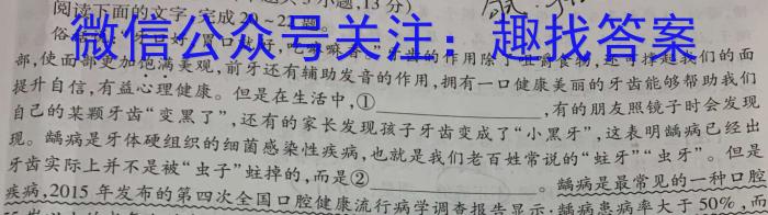 浙江省金华十校2024-2025学年高一第一学期期末调研语文