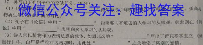 渭源一中教育联盟2024~2025学年度第一学期暑假开放日教学测试（25012C）语文