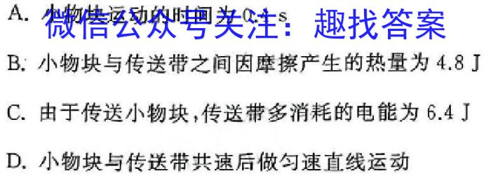 安徽省东至县2023-2024学年度（下）九年级模拟考试物理试题答案