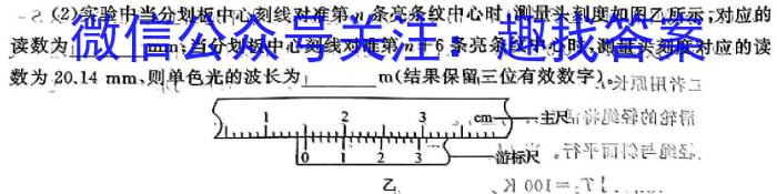 安师联盟2024年中考权威预测模拟试卷(二)物理