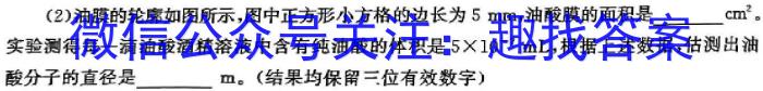 湖北省2024年宜荆荆随恩高二3月联考物理`