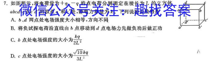 衡水金卷先享题月考卷2023-2024学年度上学期高二年级五调考试q物理