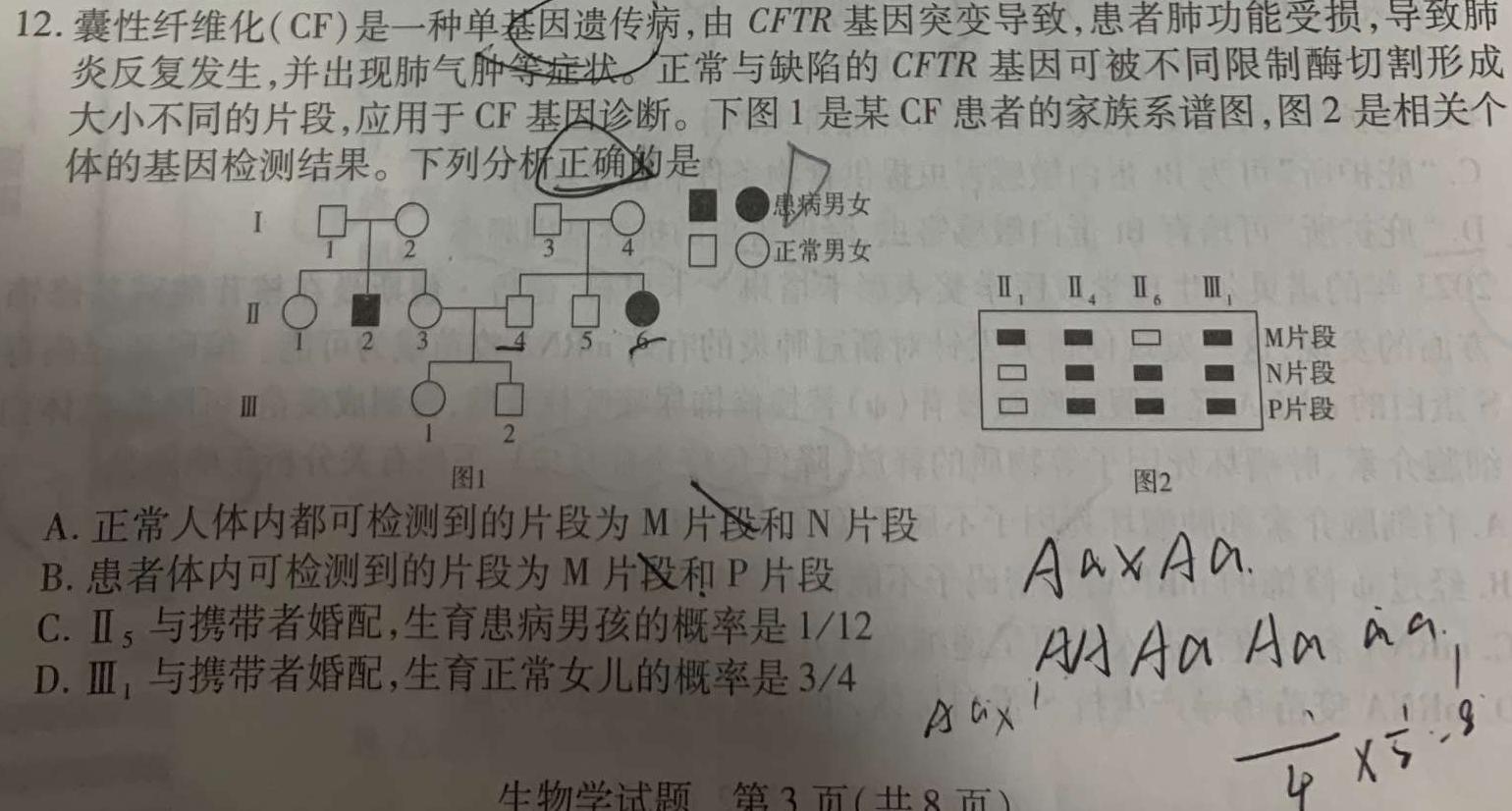 湖北省2024年新高考联考协作体高三年级3月联考生物学部分