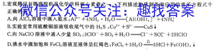 河北省正定县2024年九年级第一次模拟考试化学