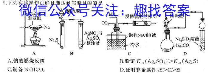 【精品】湖南省常德市普通高中沅澧共同体2024届高三第一次联考(试题卷)化学