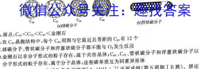 【精品】湖北省2023-2024学年湖北省高一下学期期中考试试卷化学