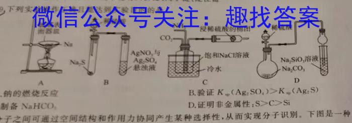 3河北省强基名校联盟2023-2024高二年级第二学期开学联考(334B)化学试题