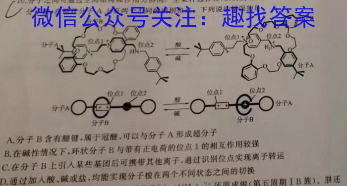 2024年山东新高考联合质量测评3月联考试题化学