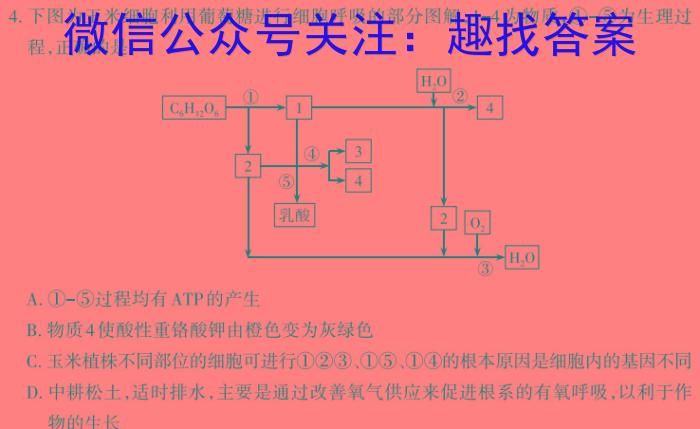 1号卷 A10联盟2023级高一下学期2月开年考生物学试题答案