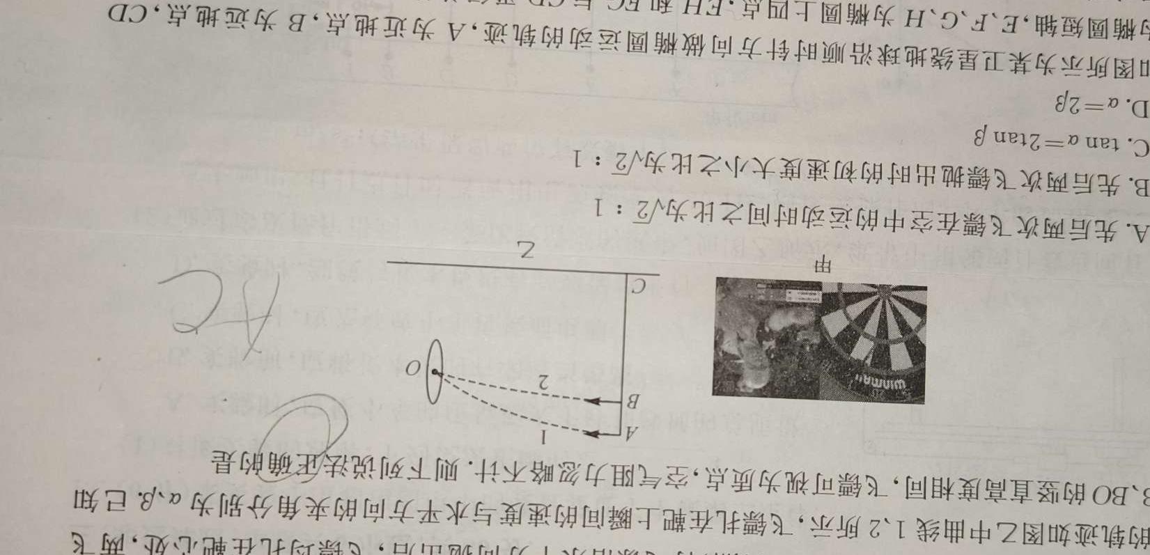 [今日更新]2024年普通高等学校招生全国统一考试标准样卷(一).物理试卷答案