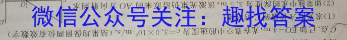 河北省2024年新乐市中考模拟考试物理试卷答案