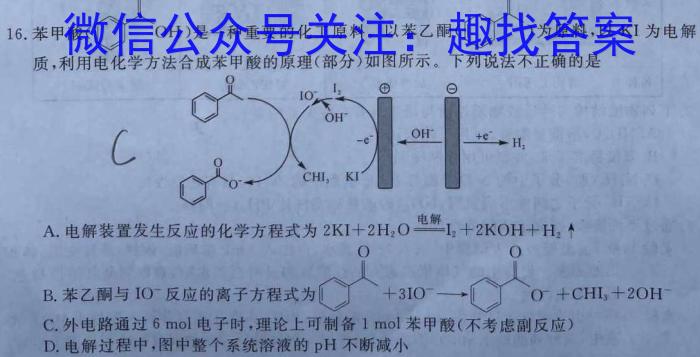 河北省邯郸市2024高二第二学期期末考试(24-576B)化学