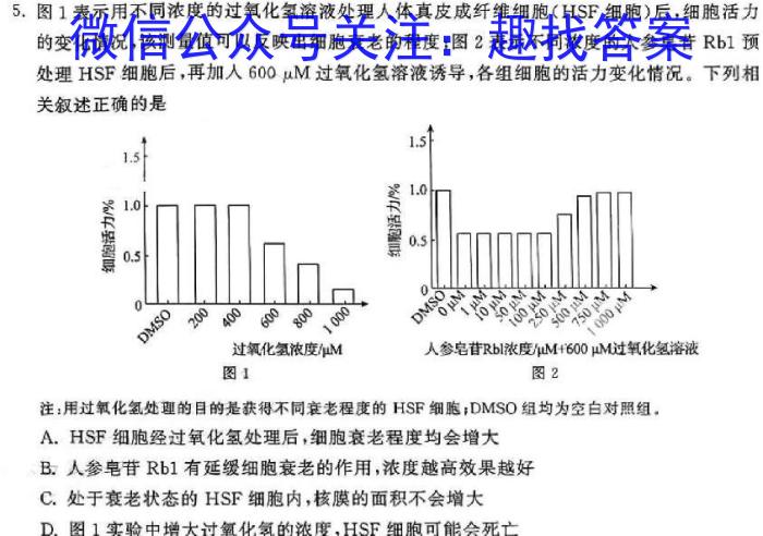 2023-2024学年高三试卷5月百万联考(画板)生物学试题答案