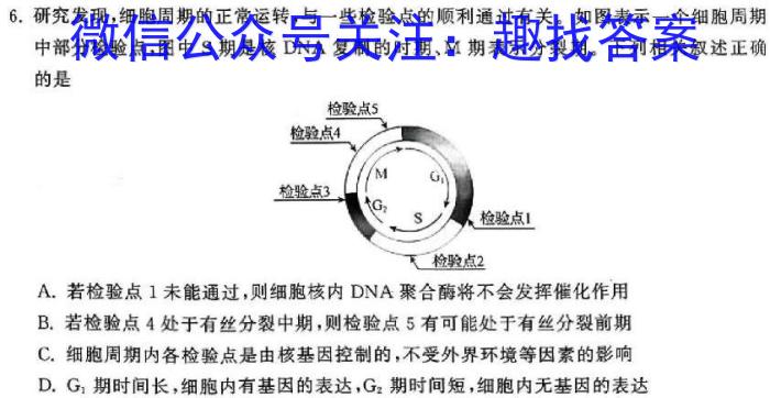 [鹰潭二模]江西省鹰潭市2024届高三第二次模拟考试生物学试题答案