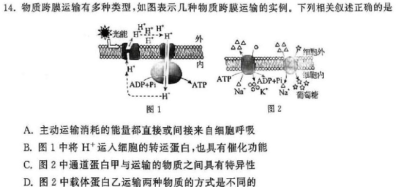 炎德英才名校联考联合体2024年秋季高二第一次联考(暨入学检测)生物学部分